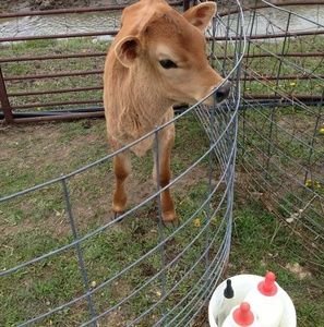 Meet your Posher, April